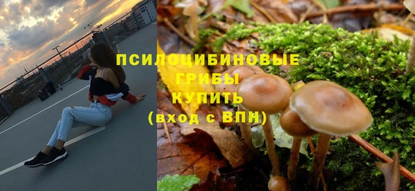 гашик Алексеевка