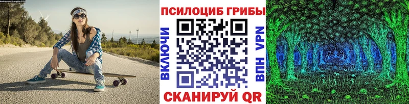 купить наркотик  Ессентукская  Галлюциногенные грибы GOLDEN TEACHER 