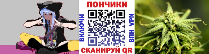 Бошки Шишки план  Ессентукская 
